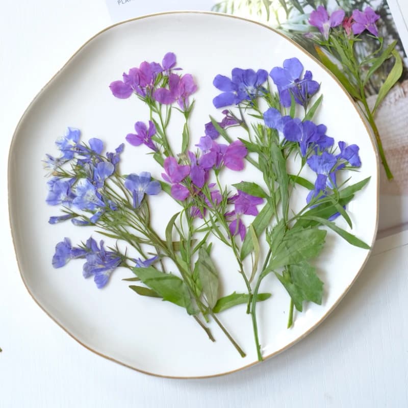 6 Pieces/8-13cm, Free Pressed Flowers Dry Lobelia Erinus Natural with stems, Artisan Petals for Makeup, Nail Art, Resin Jewelry, Bookmarks