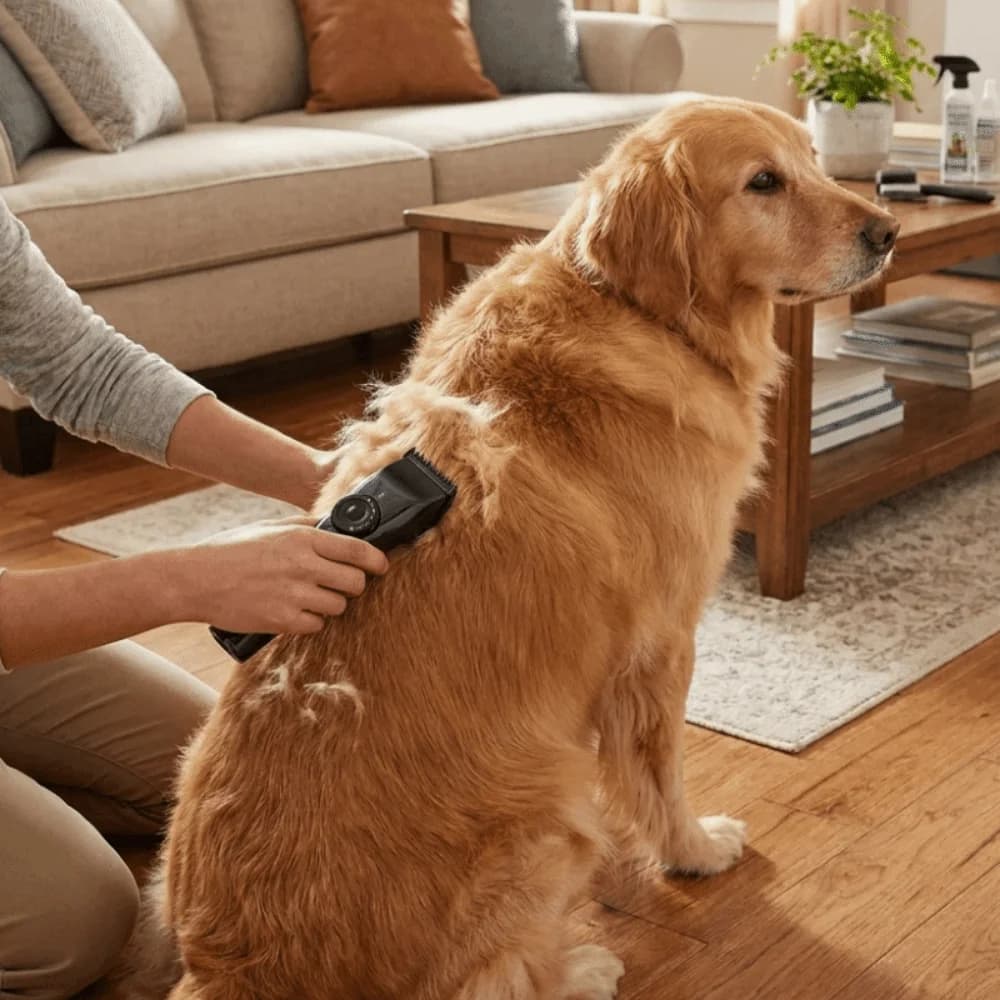 USB Rechargeable Pet Hair Trimmer Waterproof Cordless Dog Grooming Clipper Low Noise Professional Pet Electric Trimmer