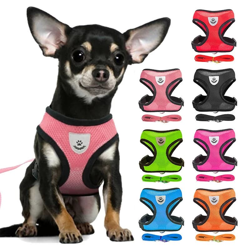 Pettorina e guinzaglio per cani da compagnia Set imbracature regolabili regolabili in rete morbida regolabile gilet per guinzaglio per cani e cuccioli di gattino