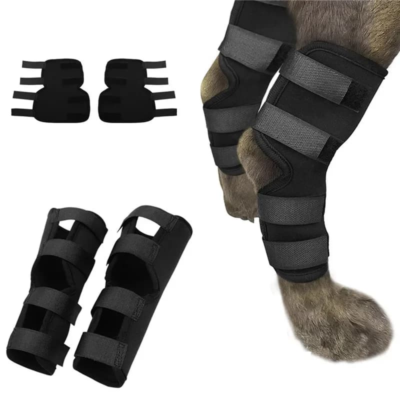 1 Paio di Ginocchiere per Animali Domestici, Supporto per Articolazione della Caviglia, Fascia Protettiva per Recupero Lesioni alle Zampe del Cane