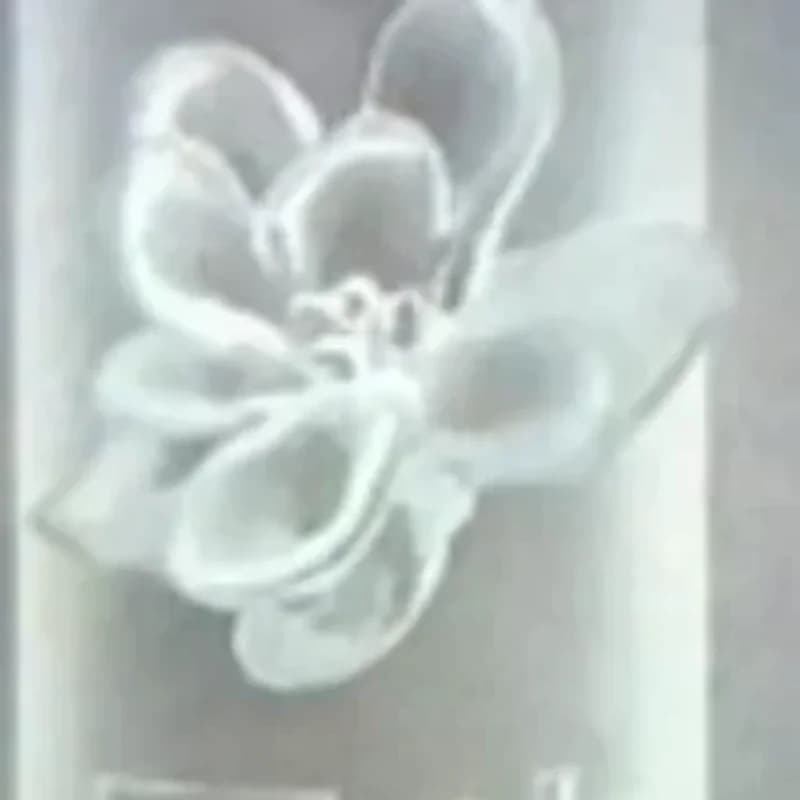 3D Silicone Print for Nails, Floral Design Magnolia, Nail Art Decorations, Transparent Models for Manicure