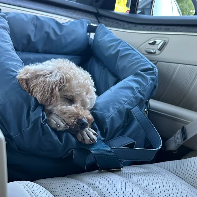Protezione per seggiolino auto con letto per cani Hammert per animali domestici in pelle resistente impermeabile facile da pulire per i viaggi