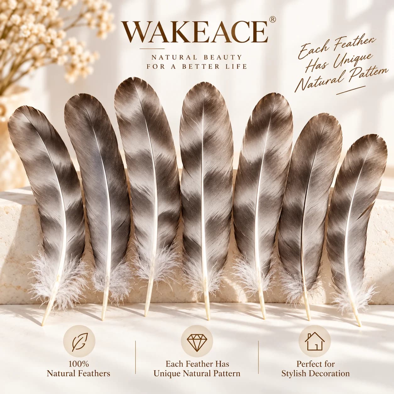 WAKEACE 100Pcs 4-8in Natural Grey Chinchilla Rooster Feathers 10-20cm for DIYJewelry Dreamcatcher Crafts Hat Wedding Party Decor