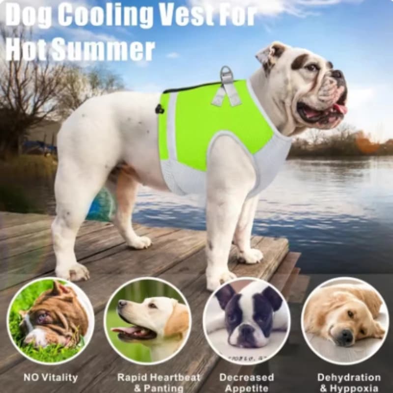 Gilet rinfrescante per cani Traspirante Regolabile Raffreddamento rapido Riflettente Animali domestici Abbigliamento da ghiaccio per l'estate Escursionismo all'aperto Camminare Imbracatura per cani