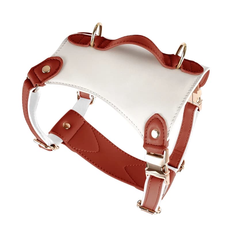 Set di imbracatura e guinzaglio per cani in pelle, regolabile, in pelle impermeabile, per collare per animali domestici di piccola, media e grande, accessori da passeggio