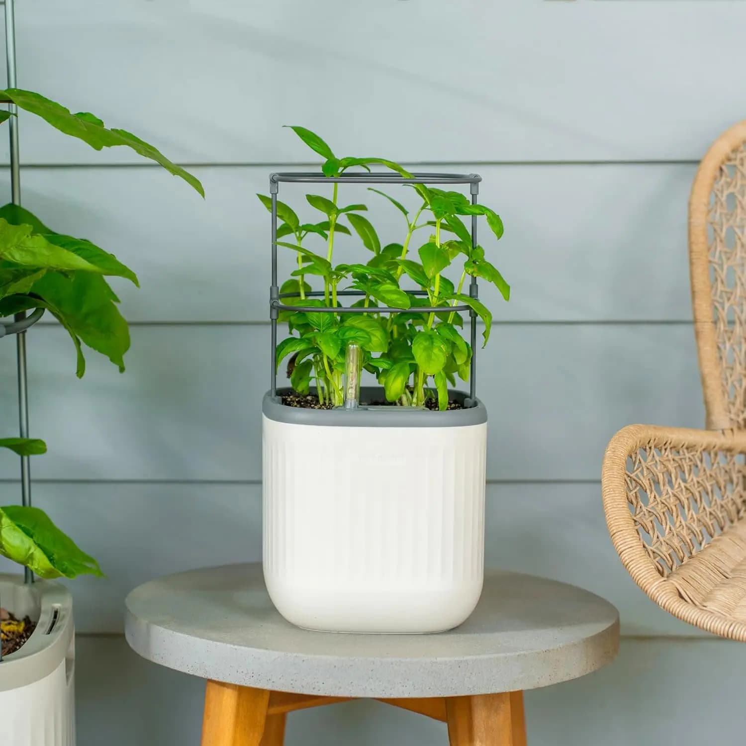 Mini Fioriera con Traliccio, Vasi Autoirriganti da Interno per Piante Rampicanti, Fiori, Menta - Bianco Crema