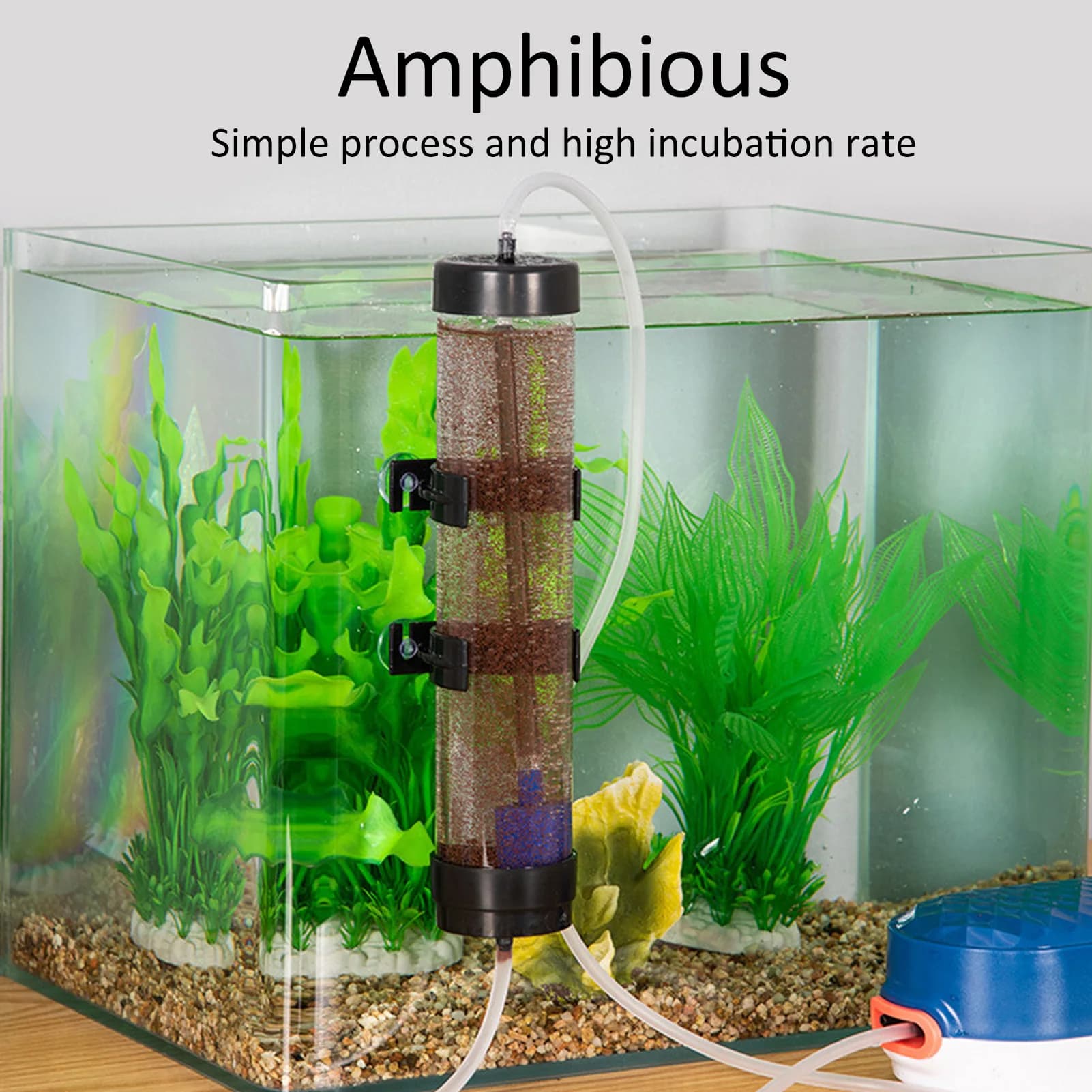 Fish Hatch Tool Artemia Eggs Hatchery Kit Prawn Incubator Shrimp Eggs Incubator Hatchery Kit Aquarium Fish Hatch Tool