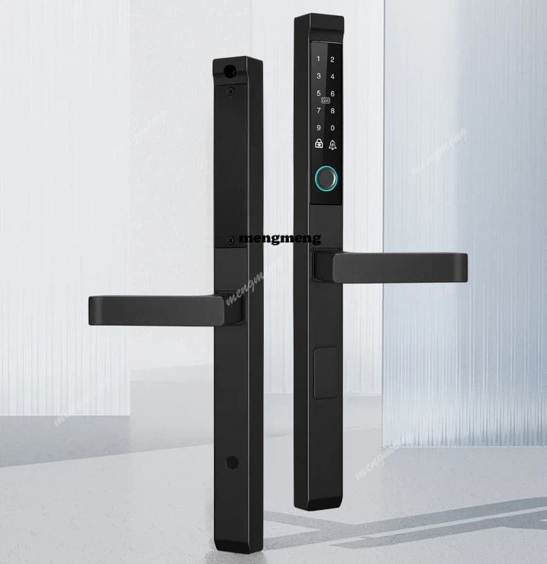 Serratura intelligente da giardino a doppia faccia impermeabile TTLOCK TUYA con impronta digitale, password, scheda e APP