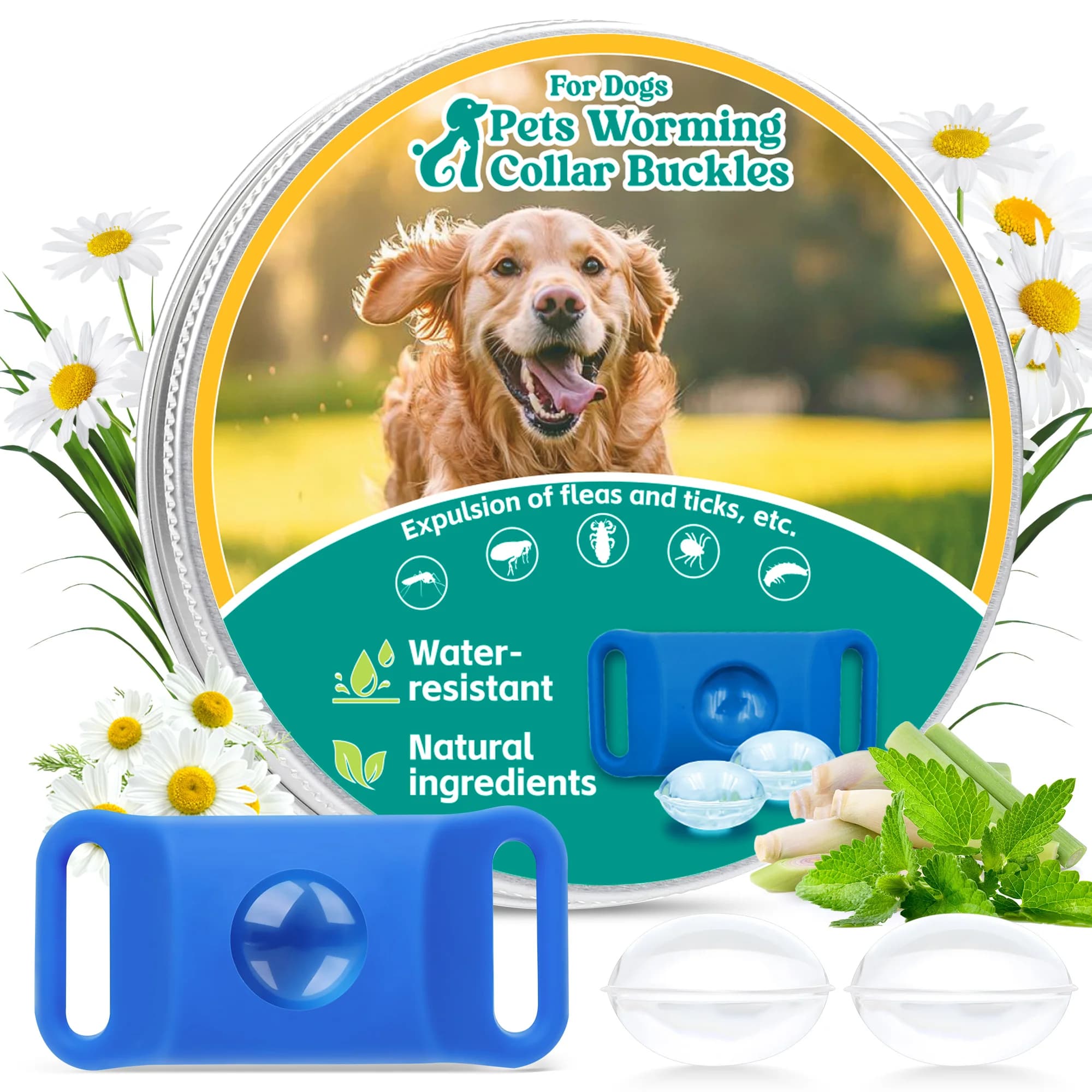 Collare repellente naturale contro pulci e zecche per cani - un collare identificativo e 3 pacchetti di accessori aggiuntivi. Opzione colore blu/verde. Adatto a tutte le razze di cani. Sicuro e non tossico.