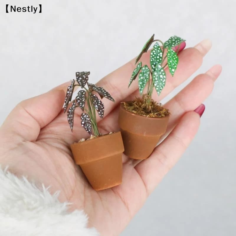 Vaso di Fiori in Miniatura 1:12, Modello di Pianta Verde in Vaso, Decorazione per Casa delle Bambole, Ornamento per Micro Paesaggi〔Nest〕