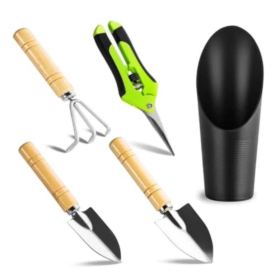 Set di 5 Attrezzi per Piante Grasse, Mini Utensili da Giardinaggio, Forbici da Potatura per Interni, per Bonsai, Cactus e Giardini in Miniatura