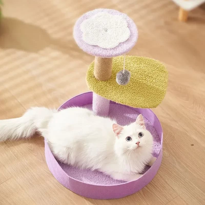 -Piccolo telaio da arrampicata per gatti da interno Gioco Tiragraffi Cuscino per divano Sedia sospesa Prodotti per gatti Collezione completa di giocattoli