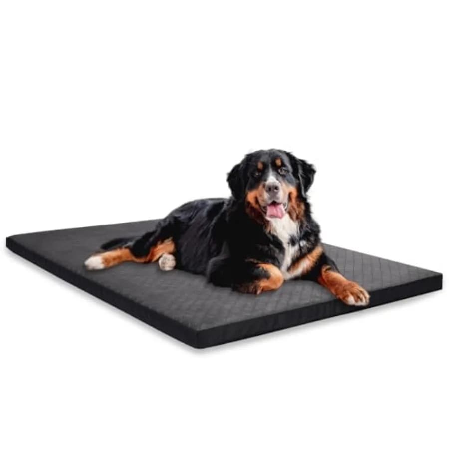 Cuccia Indistruttibile per Cani con Rivestimento Trapuntato Rinforzato Anti-Masticazione, Lavabile, Tappetino per Gabbia per Cani Masticatori Aggressivi, Antiscivolo per Kennel