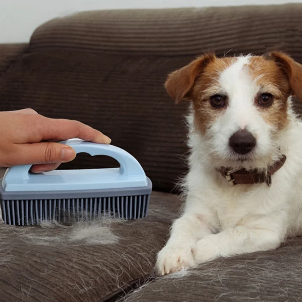 Set pettine e spazzola da bagno per animali domestici: spazzola per massaggio per cani con setole morbide, spazzola da bagno schiumogena per animali domestici, spazzola per la depilazione,