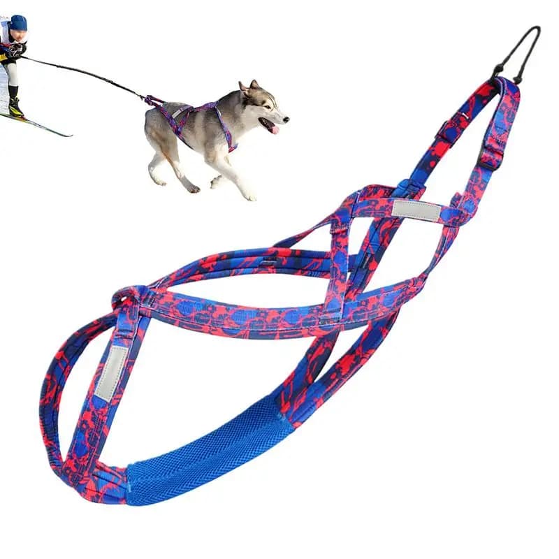 Imbracatura per cani Imbracatura per cuccioli Imbracatura per cani riflettente regolabile Corda per cani da esterno Corda flessibile per addestramento del cane per