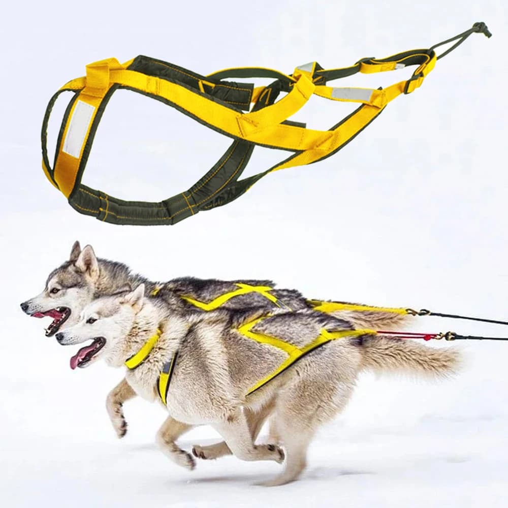 Imbracatura per slitta per cani di taglia media e grande, resistente, per il traino di carichi pesanti, regolabile, riflettente, per l'addestramento all'aperto dei Husky