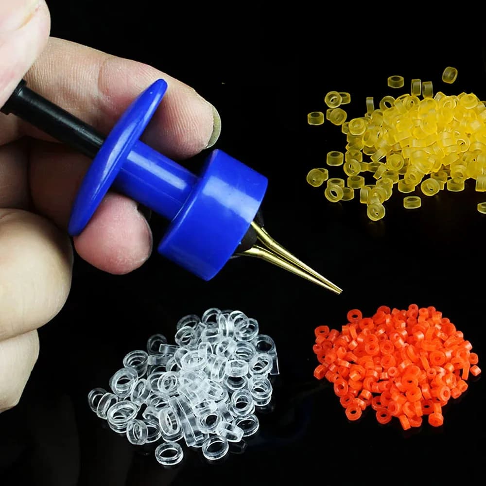 400/700/1000pcs Elastic Rubber Rings Esca Fishing Clip Tied A Hand with Elastic Granular Leather Esca Benda Kit