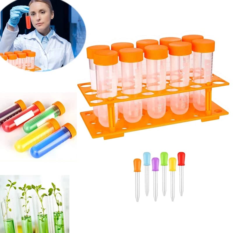 Plastic Carpets for Kids Wallet Entrepreneurship Educational Tools for Primary Science Decoration for Nursing Parties