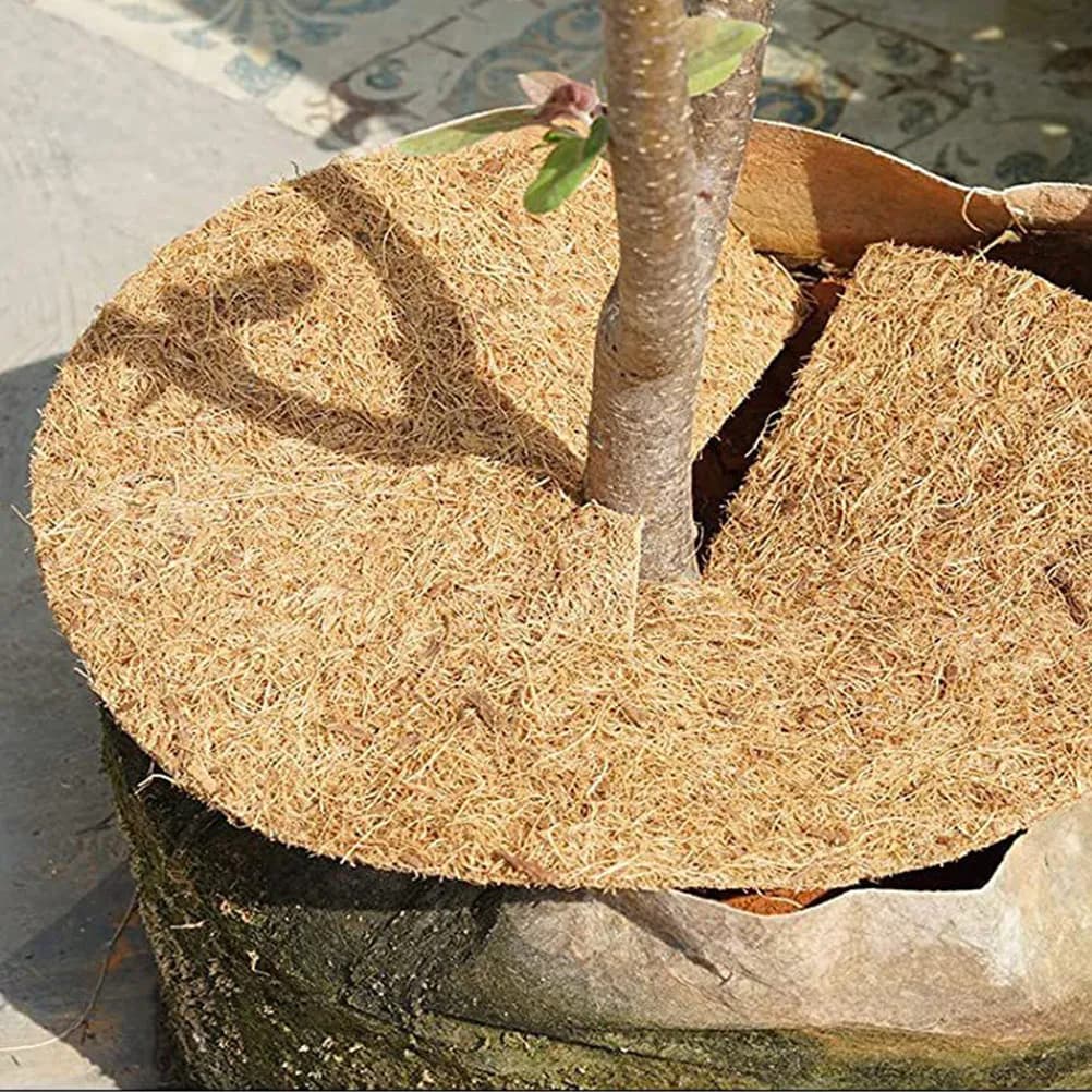 Coconut Pad Extra Large Sustainable Natural Liner for Leopard Gecko Bearded Dragon Turtle Snake Terrarium Reptile