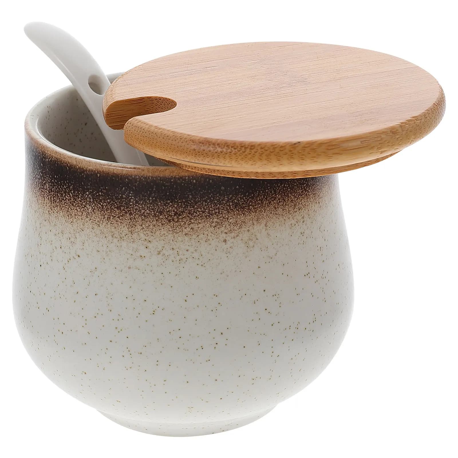 Set di 1 Barattolo in Ceramica per Spezie, Contenitore Ermetico per Condimenti con Cucchiaio Dosatore per Sale
