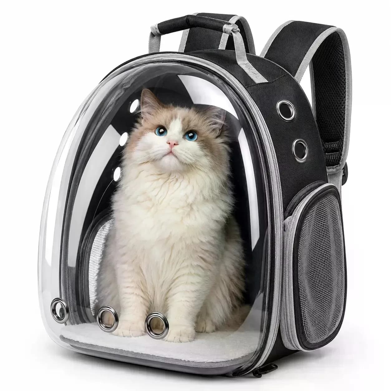 Airline-Approved Bubble Cat Backpack Carrier - Padded Straps, Free Toy Ball or Collar, for Small-Medium Cats & Outside Hiking Dogs, Black
