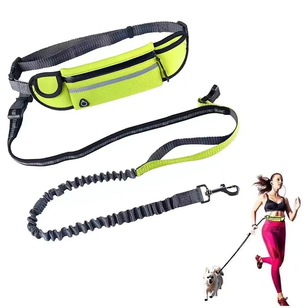 Leash for Free Hand Dogs with Waist Waist, Reflective Elastic Belt, Nylon Guinzaglio Set for Running, Collar and Pettorine, Pet Accessories