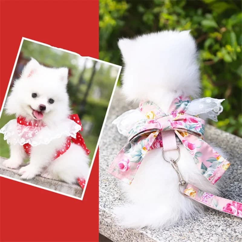New Sweet Bow Chest Dog Cat Harness Leash Puppy Small Dogs Harnesses Vest for Chihuahua Yorkshire Walking Training Dog Supplies