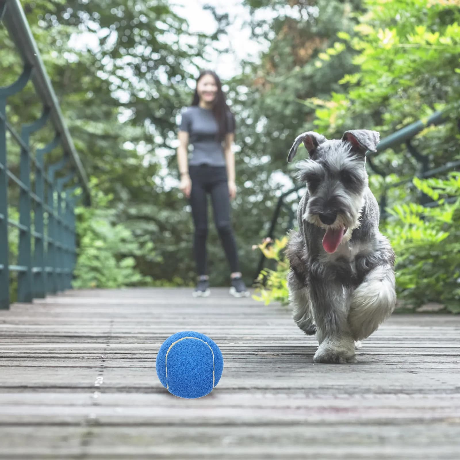 4 Palline da Tennis Premium Resistenti alla Compressione per Addestramento Cani, Gioco, Esercizio, Sport all'Aperto, Alternativa al Masticare per Cani