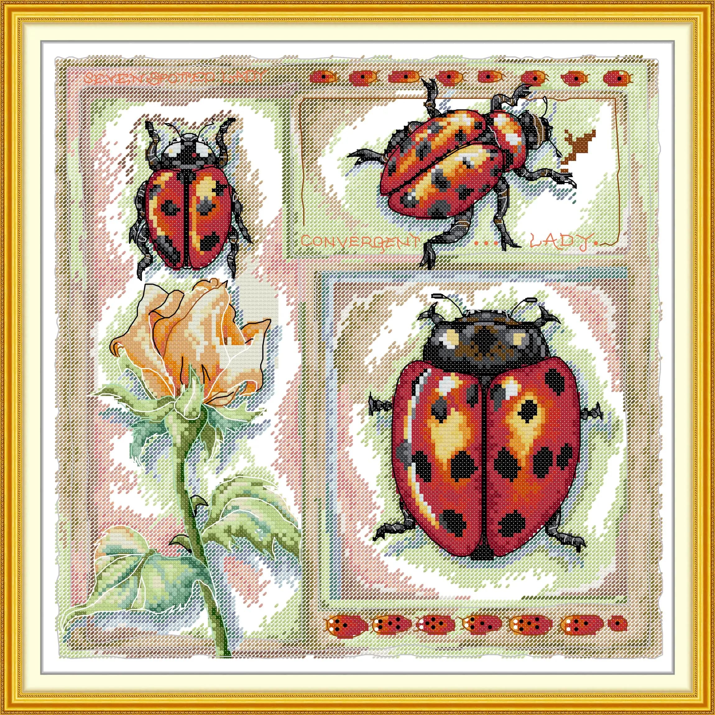 Soulgift Pre-Printed Cross Stitch Kit, Stamped Aida Fabric with DMC Threads, Embroidery Kit - Biological Illustration – Ladybird