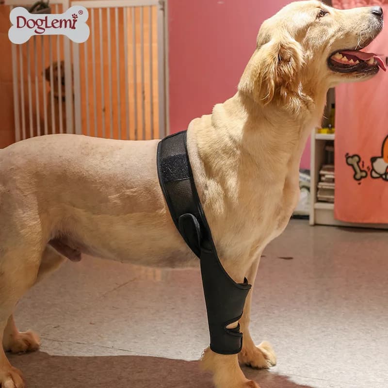 Supporto per Fratture delle Zampe del Cane, Tutore per Zampe Anteriori e Posteriori, Protezione per Ginocchio Canino per Guarigione e Recupero