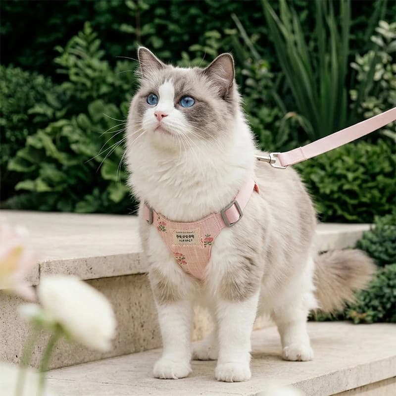 Romantic Lattice Pet Dog Harness Set Floral Vest Small Medium Puppy Leash Accessories Anti Escape Outdoor Walking Strap Traction