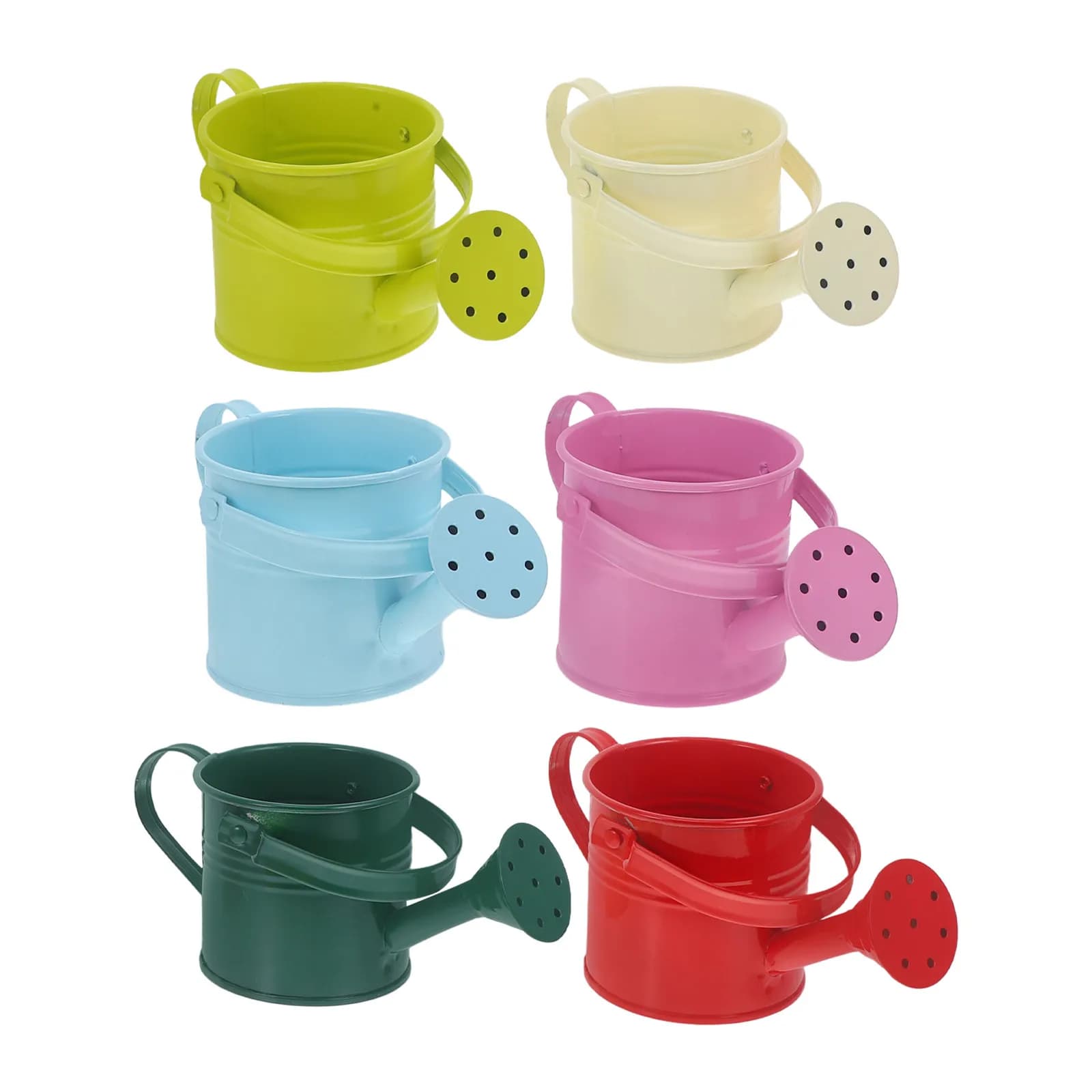 Set di 6 Annaffiatoi in Ferro Premium dal Design Semplice e Leggero per Piante Succulente e Piante Aeree