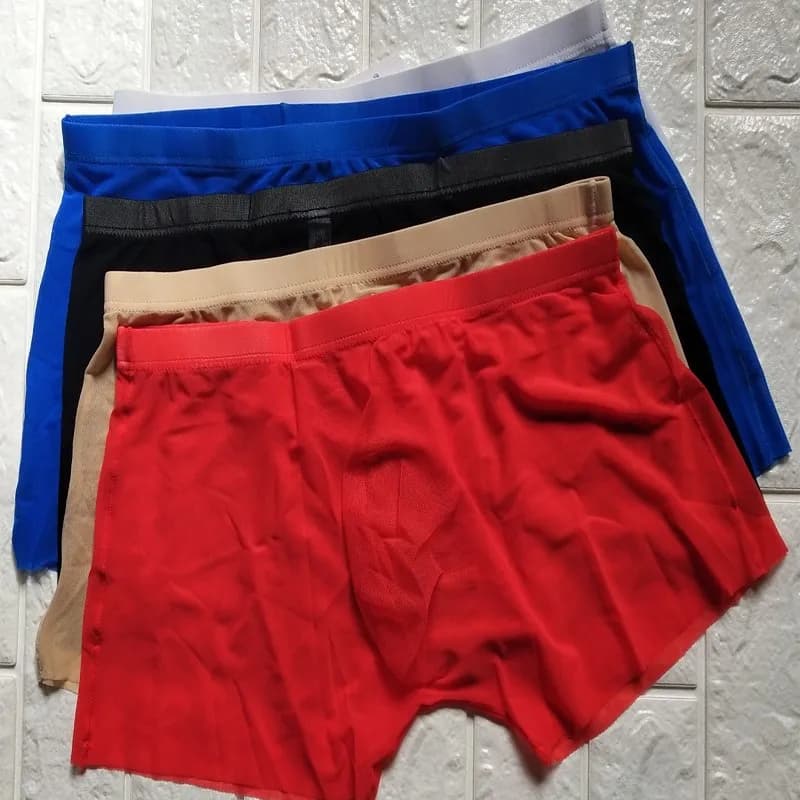 Sexy Lingerie Transparent Underwear Mens Boxers Comfortable Breathable Net Yarn Panty U Convex Shorts Panties Cueca Masculina