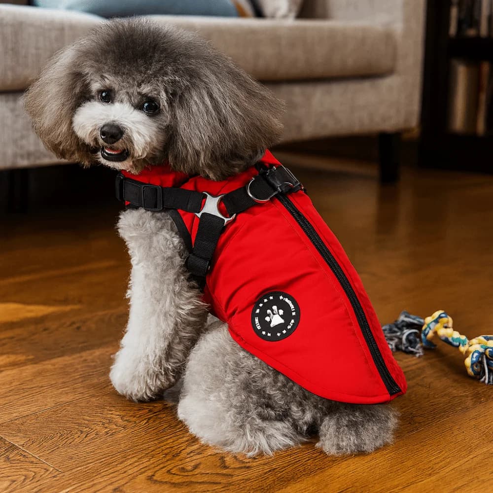 Piumini per cani regolabili impermeabili Addensare caldo cappotto per cani antivento con imbracatura Vestiti invernali per cani da esterno