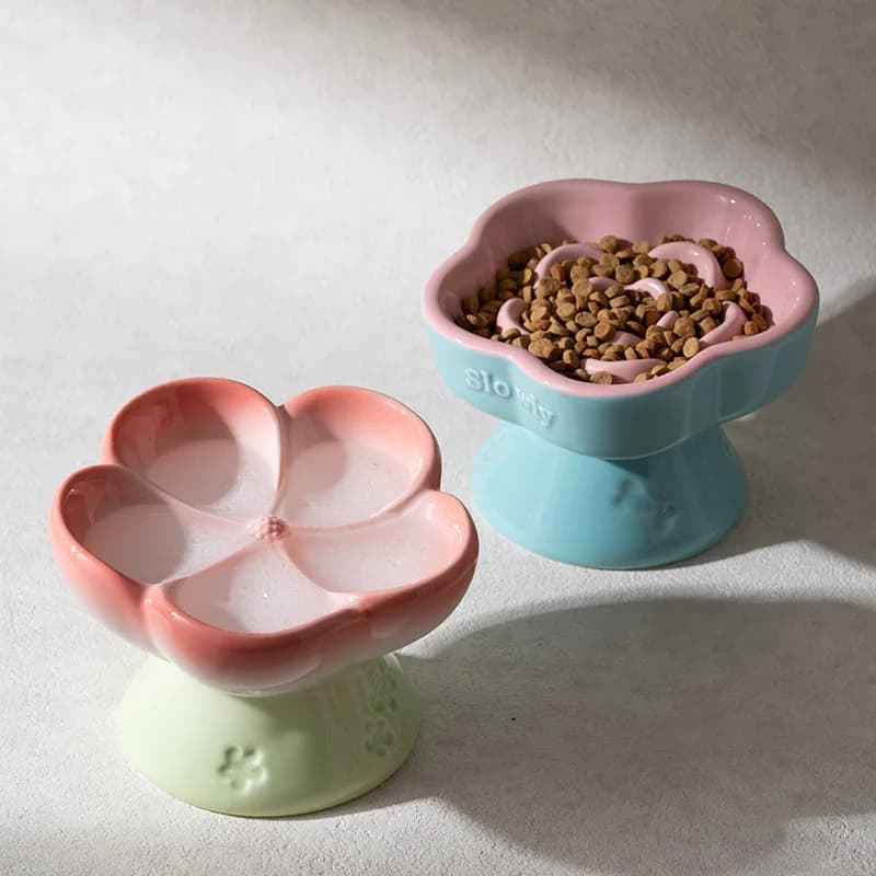 Ciotola per cibo per mangiatoie lentamenti per animali domestici Ciotola per gatti in ceramica con piedi alti Stoviglie per cani di piccola taglia