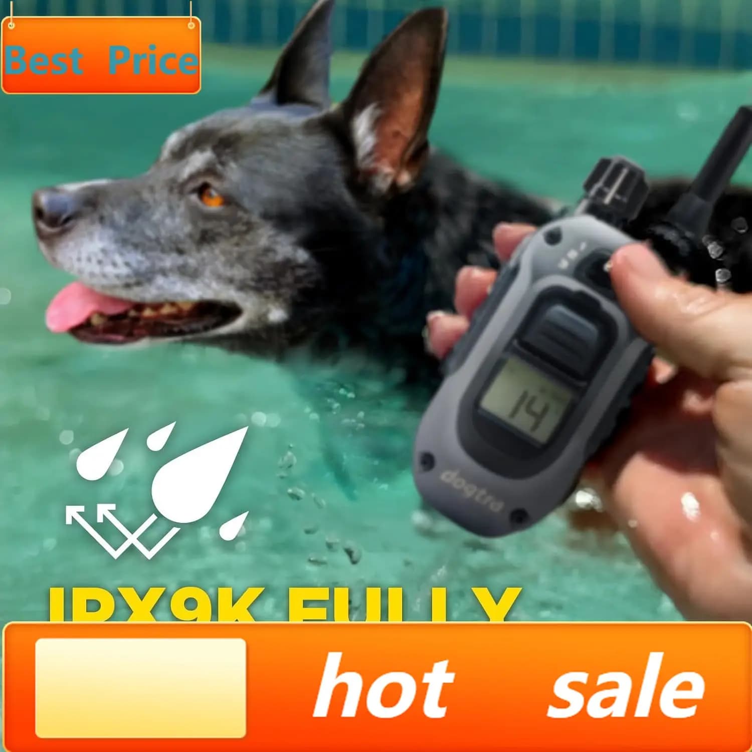 Collare Elettronico 280X con Telecomando [Nuova Edizione] per Cani da 4,5 kg+, Portata 800 Metri, Luce LED, 100 Livelli di Controllo Preciso per Cani Ostinati