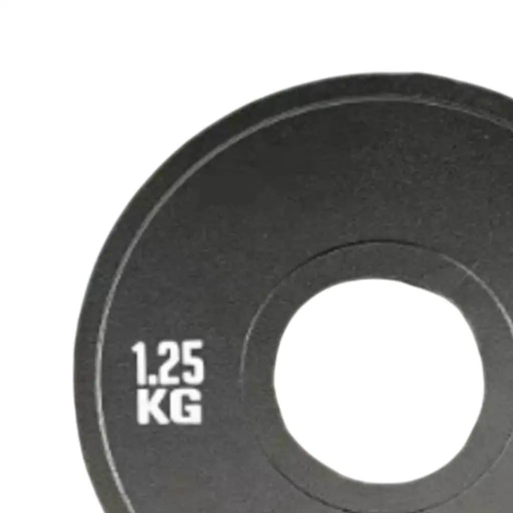 2 Pieces Micro Plates for Gym, Gym and Home Training Accessories, Micro Loaders