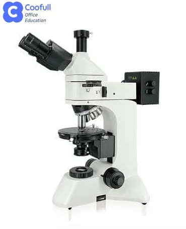 Microscopio Polarizzatore 30x ° 360 ° Tubo di aspirazione articolato e rotante a quattro vie per laboratorio
