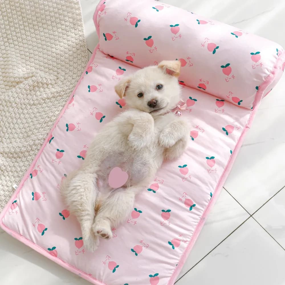 Tappetino per cani Tappetino estivo rinfrescante per cani Coperta per gatti Divano Letto per cani traspirante per animali domestici Lavabile estivo per tappetino per cani di taglia piccola, media e grande