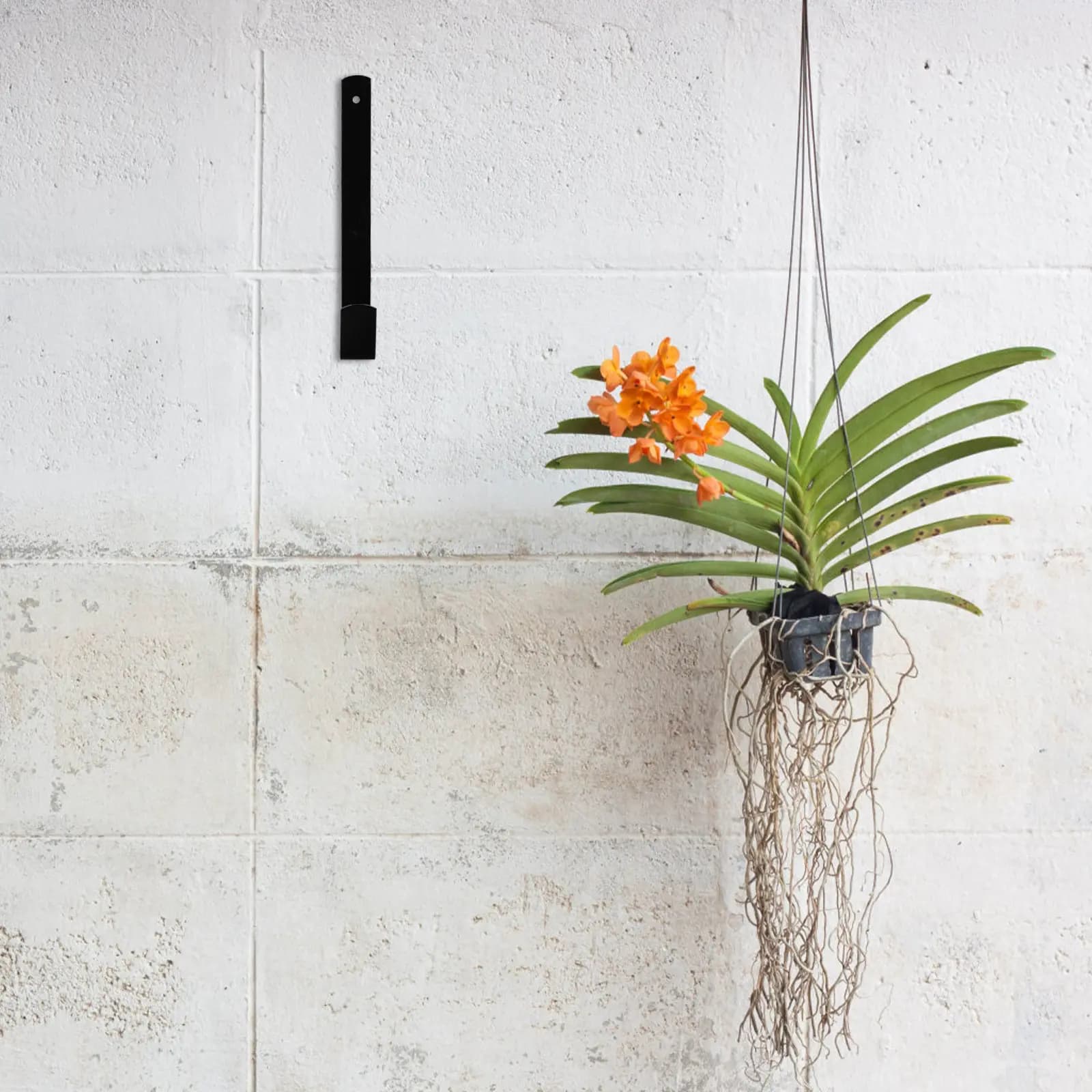 Flower Pot Bracket Iron Hanging Flowerpot Shelf For Balcony Garden Wall Mount Plant Rack Decorative Holder Adjustable