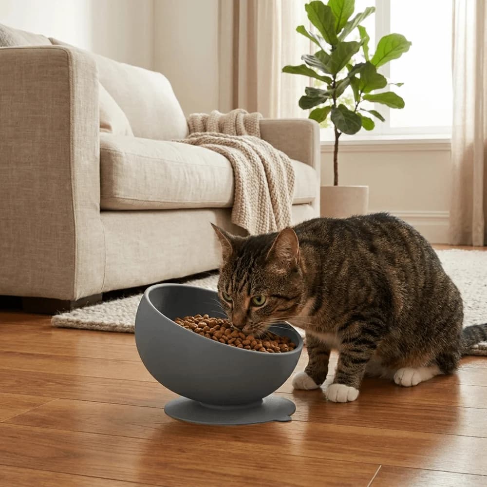 Portable Non-Slip Silicone Pet Bowl Neck Protection Anti-Tipping Slow Feeder Bowl Suction Cups Dog Food Bowl Indoor Feeding