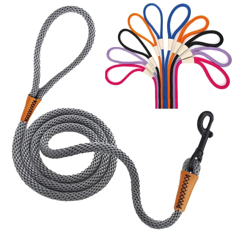 Guinzaglio per animali domestici in Nylon resistente e morbido guinzagli per cani Walking Running Training Rope Belt For Small Medium Large Dog Harness guinzaglio corde