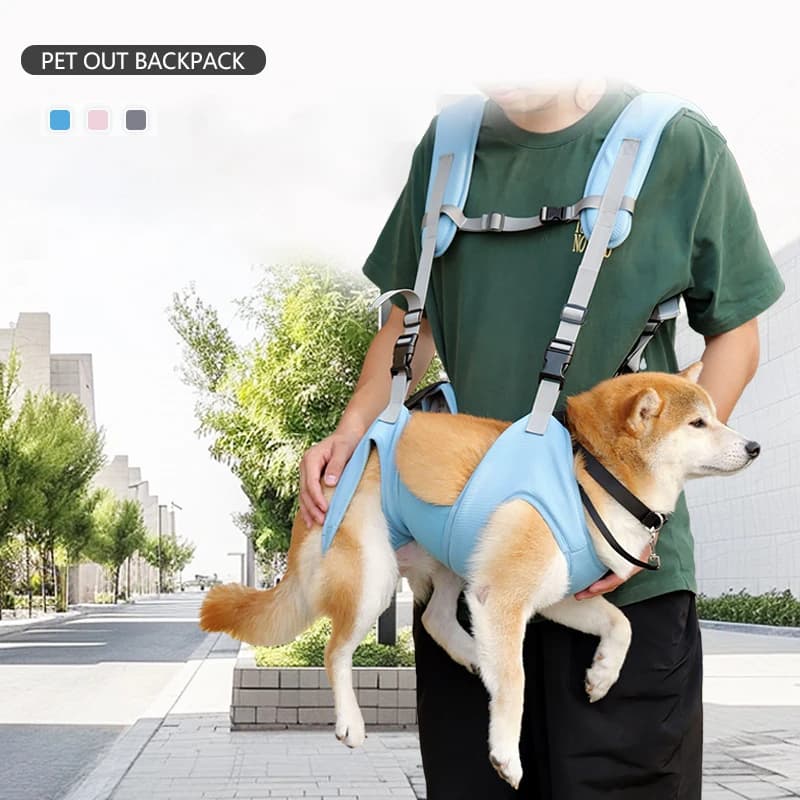 Borsa per cani personalizzata regolabile per il tempo libero, traspirante, staccabile, da viaggio all'aperto, da passeggio, per animali domestici, zaino per cani