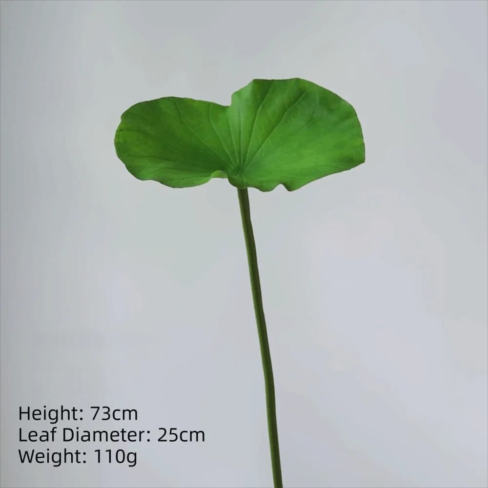 New Realistic Artificial Lotus Fai-da-Te Bouquet, Single Copper with Lotus Bowl, Home Ornament, Fin Vegetation for Pond Decoration