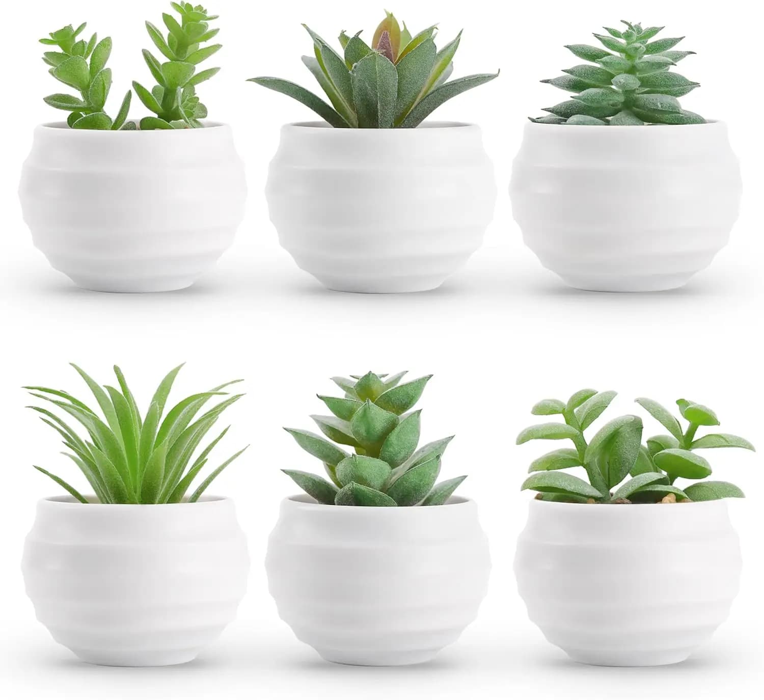Set di 6 Piante Succulente Artificiali in Vaso, Piccole Piante Finte per Camera da Letto, Soggiorno, Decorazione Scrivania Ufficio
