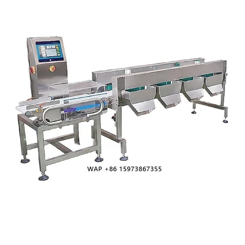 Macchina per la Selezione di Carne, Frutti di Mare e Pesce, Classificatore Automatico Multifunzionale con Nastro Trasportatore e Bilancia, Impermeabile