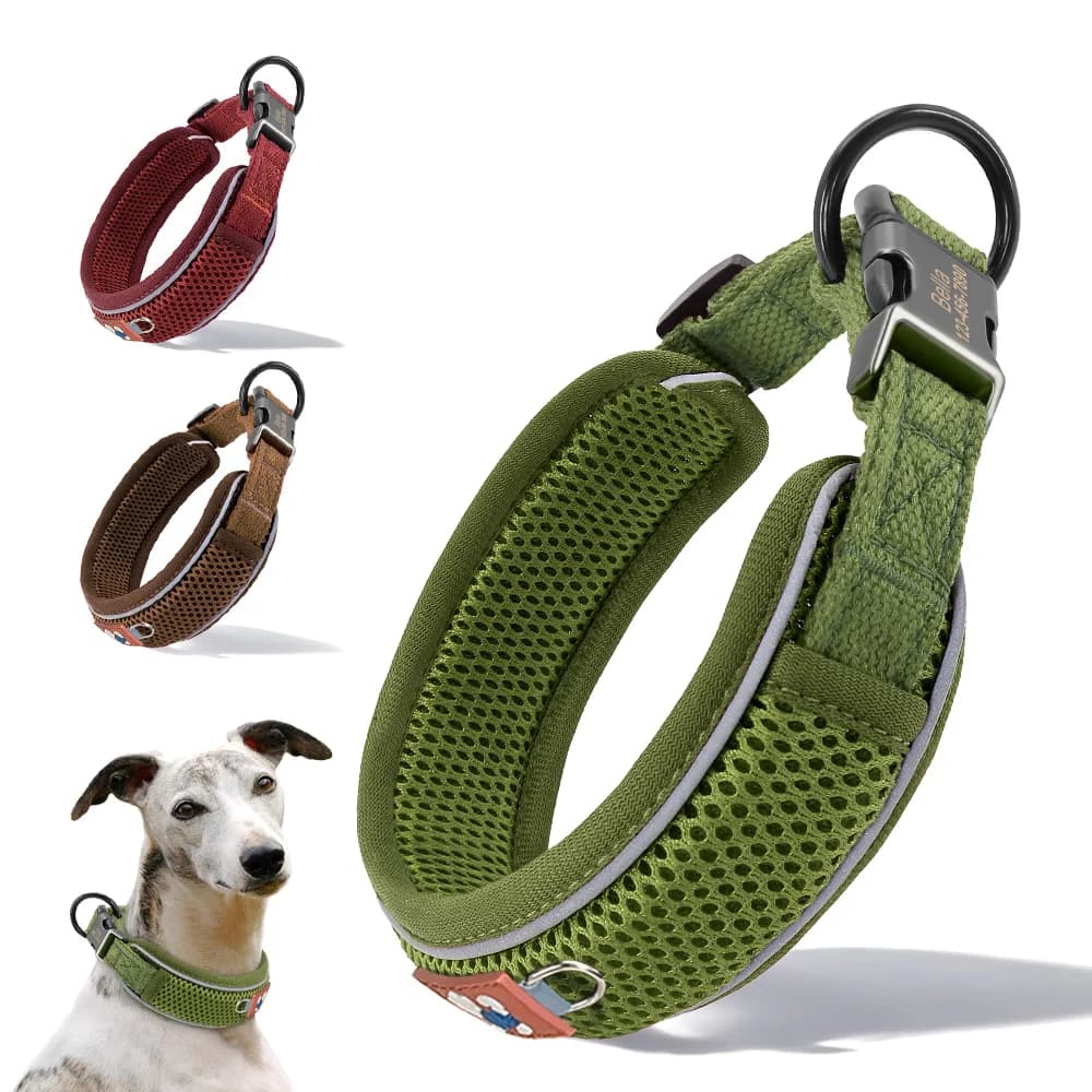 Collare per Cani Personalizzato in Nylon Riflettente, Regolabile con Nome e ID, Imbottito Morbido per Cani Piccoli/Medi/Grandi