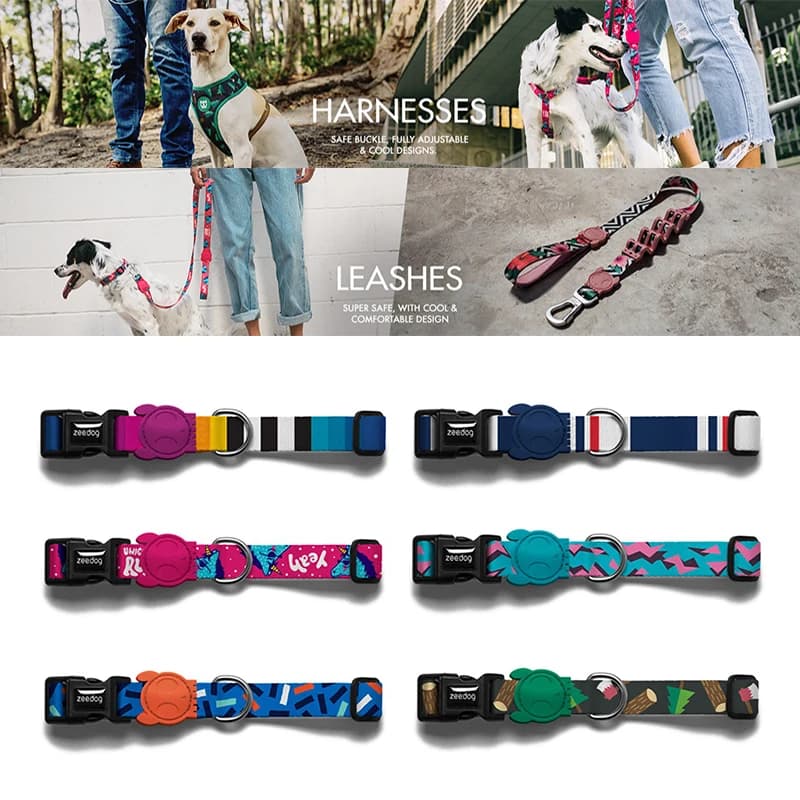 2025 Nuovo Collare Hipster per cani Collare Guinzaglio per cani Capelli dorati Phalarope Corgi Teddy Pet Piccolo cane grande Forniture da viaggio per animali domestici