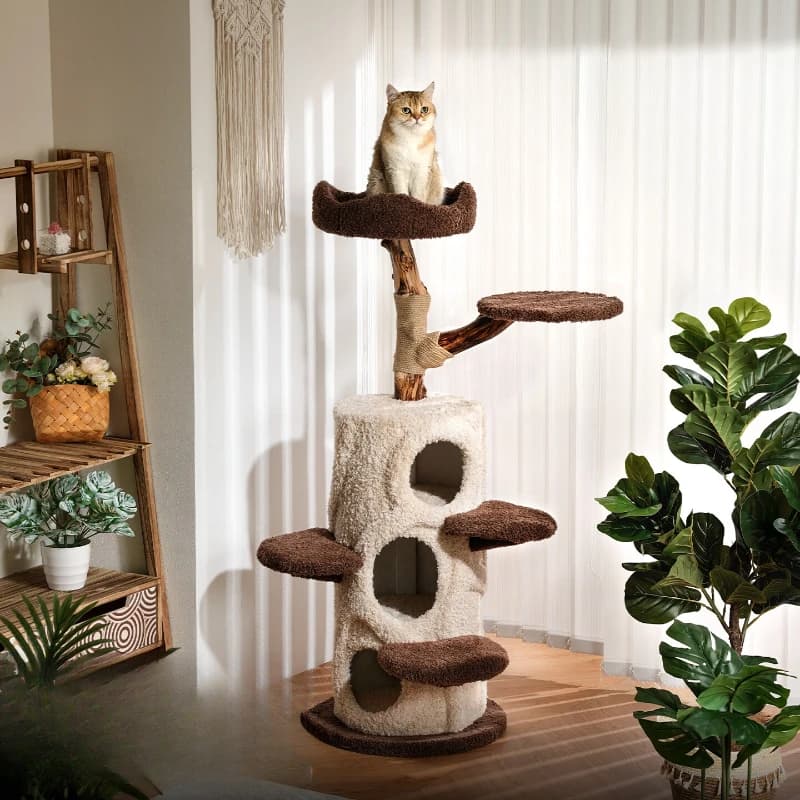 Tree house cat climbing frame Large cat tree cat nest Integrated solid wood scratching column Small apartment shelf