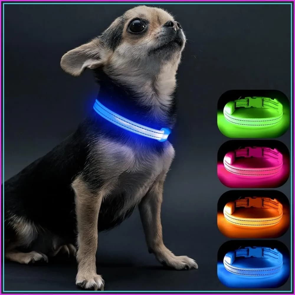 LED Dog Collar for Small Dogs, Rechargeable Light Up Collar, Adjustable Glow in The Dark, USB Charging, Blue, Night Walking Safety
